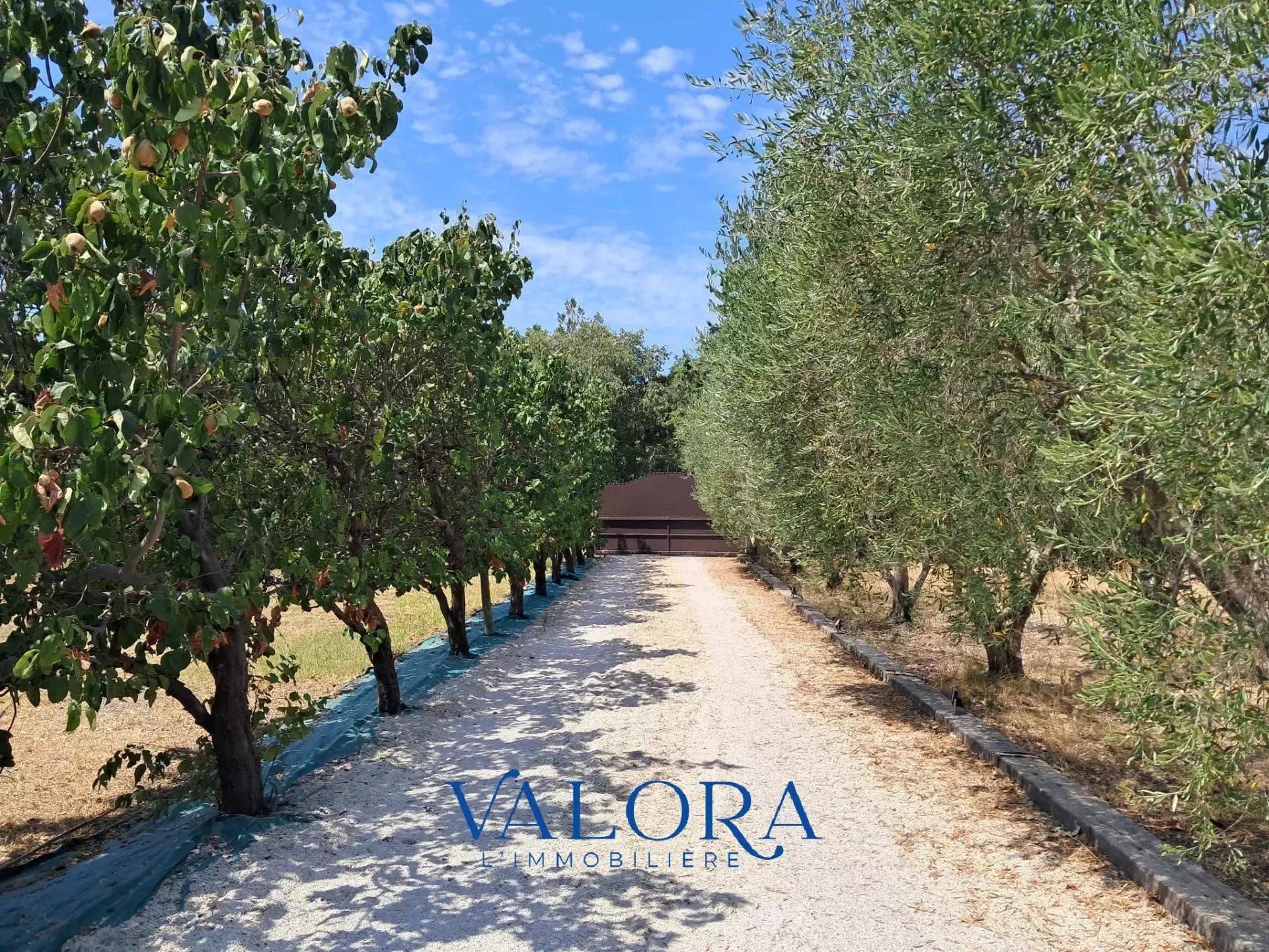 Maison à vendre, 165m², Saint-Rémy-de-Provence