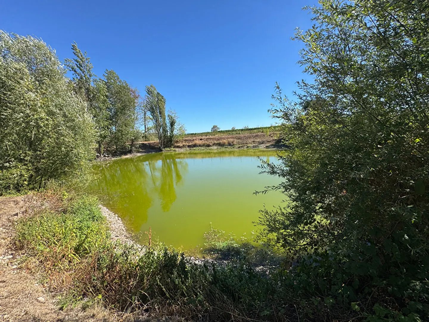 Maison à vendre, 3133m², Colmar