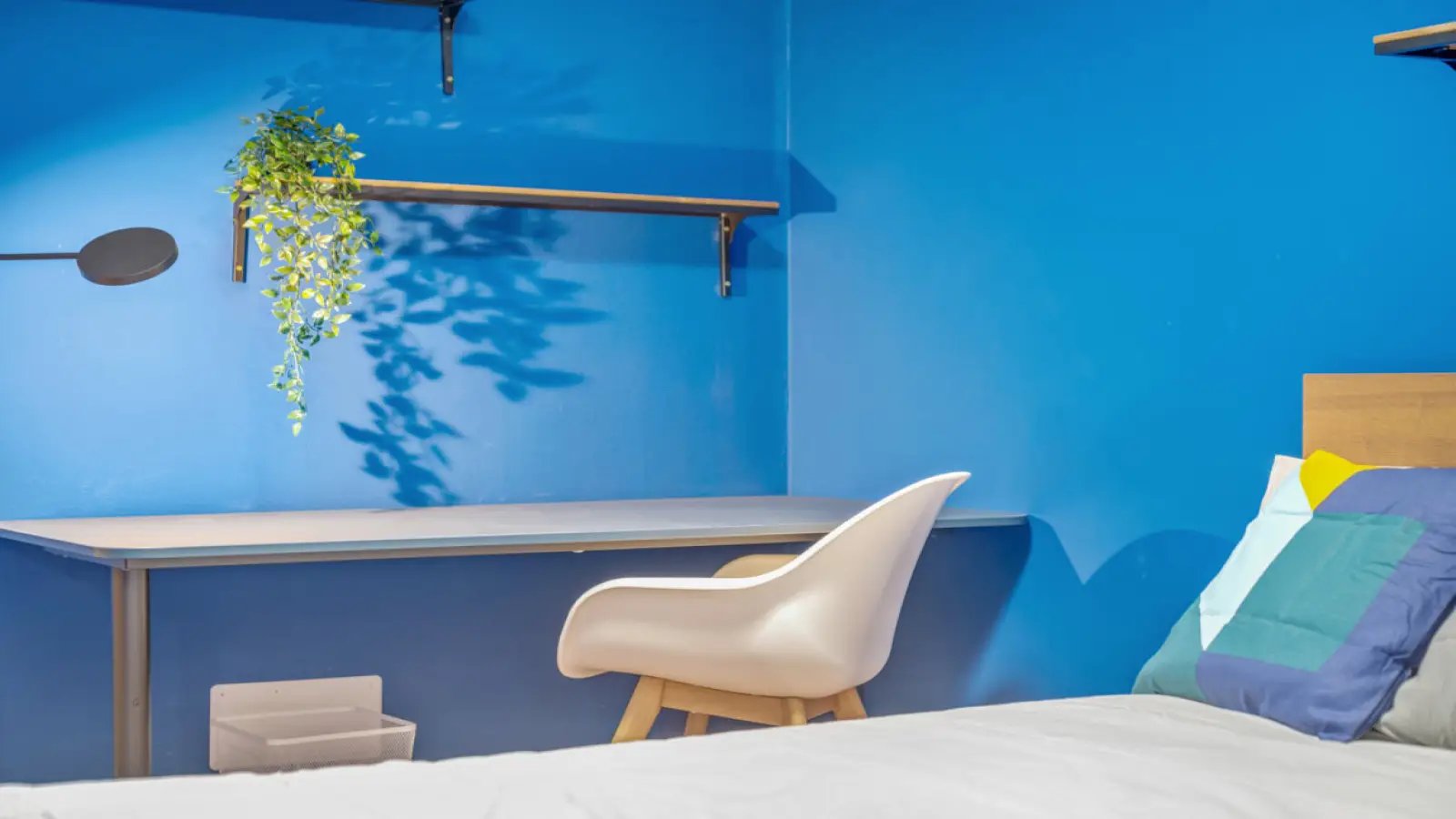 Appartement à louer, 164m², Sari-Solenzara
