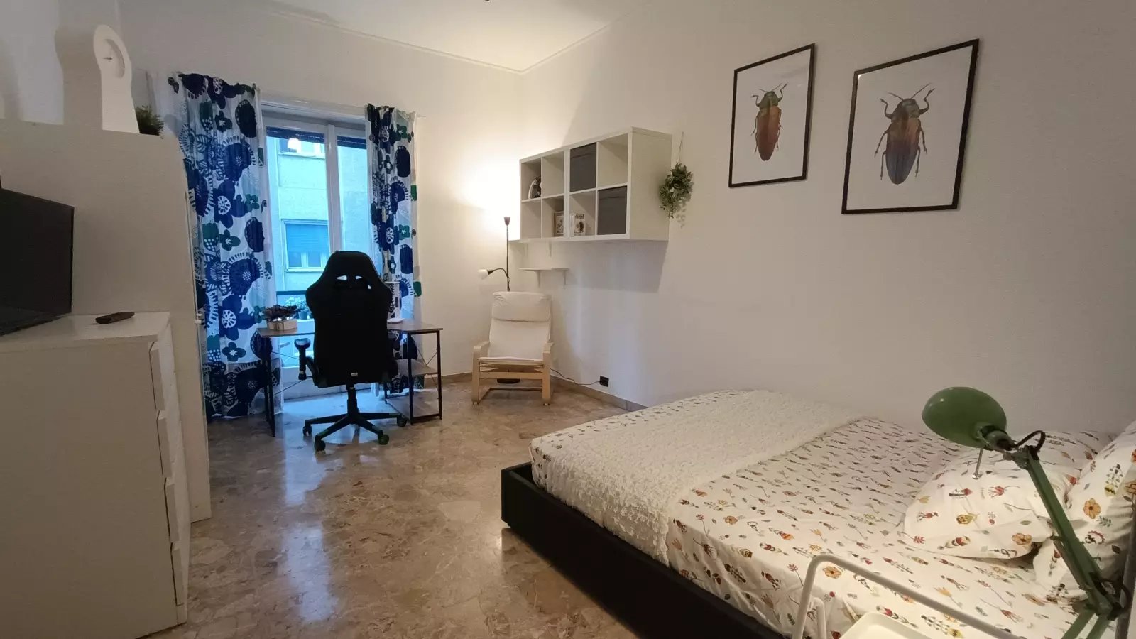 Maison à louer, 150m², Cognocoli-Monticchi
