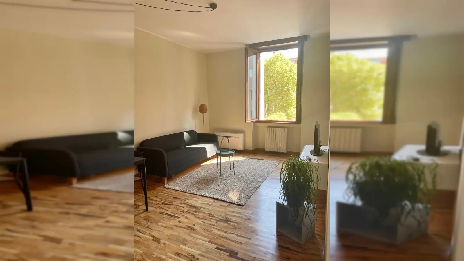 Appartement à louer, 60m², Carbuccia