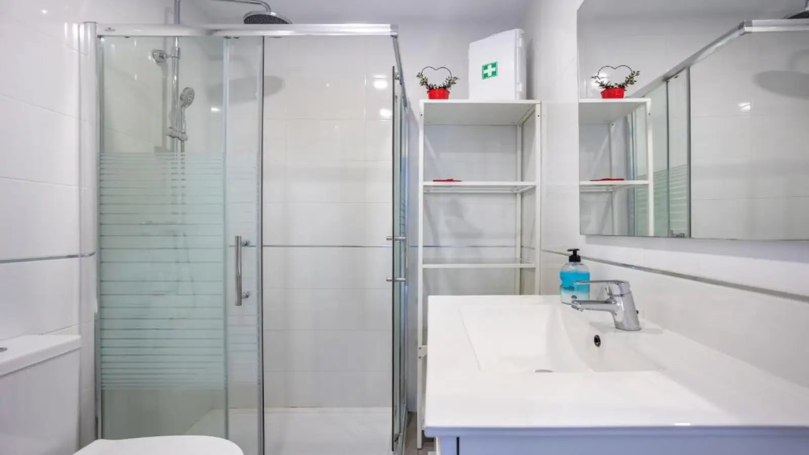 Appartement à louer, 50m², Saint-Alban-de-Roche