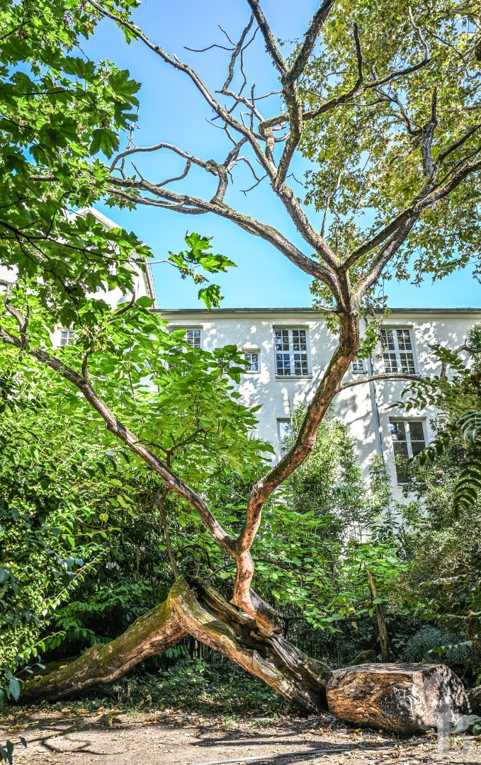 Maison à vendre, 127m², Paris 6ème