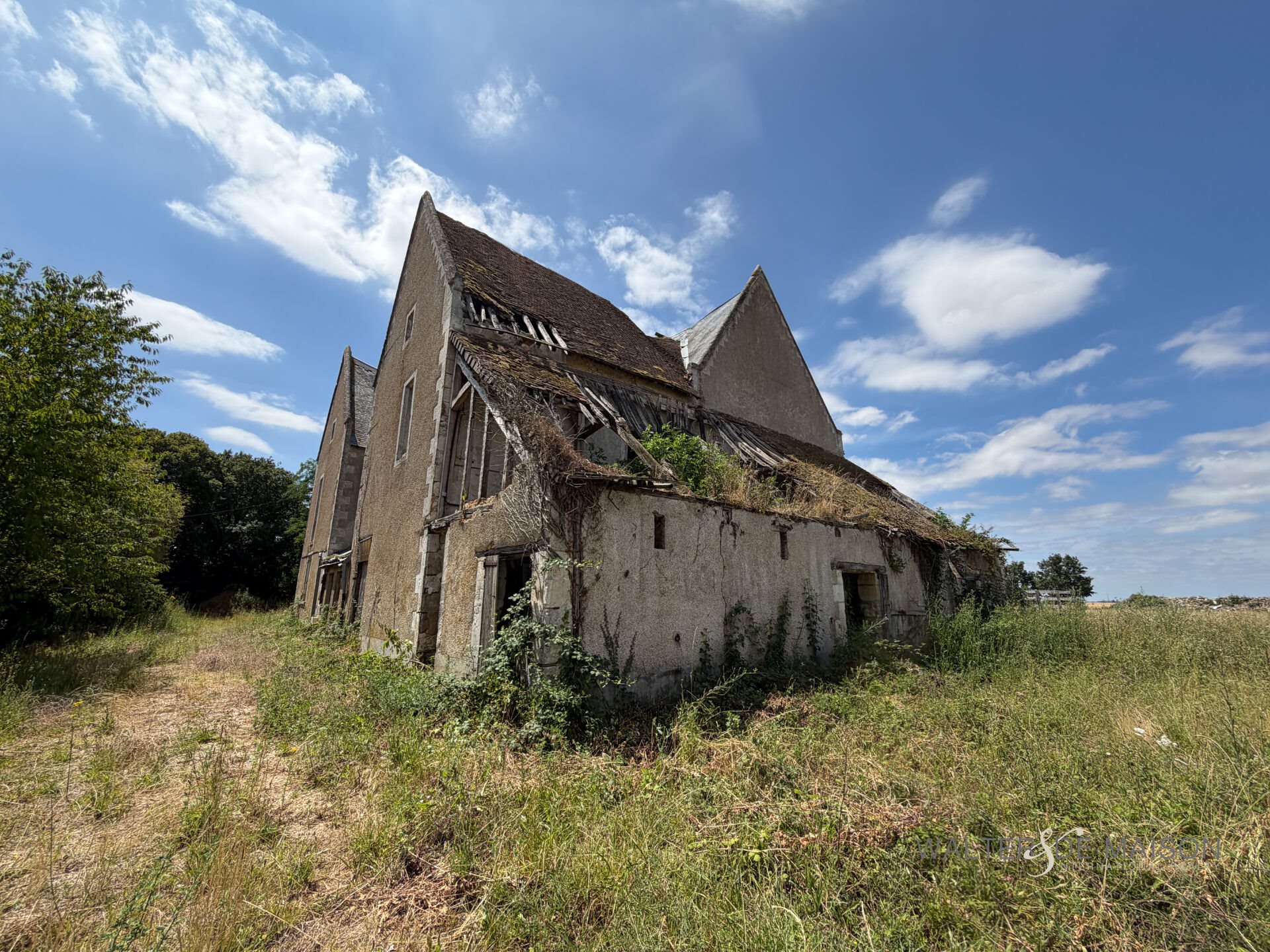Maison à vendre, 340m², Crucheray
