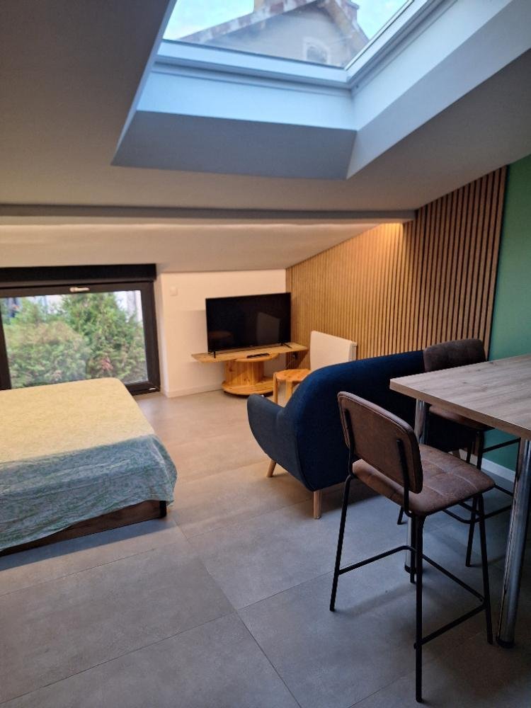 Appartement à louer, 28m², Oyonnax