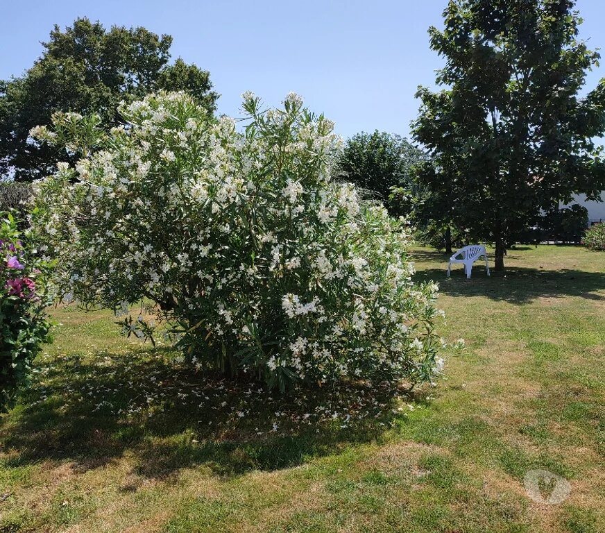 Maison à vendre, 167m², Sainte-Foy