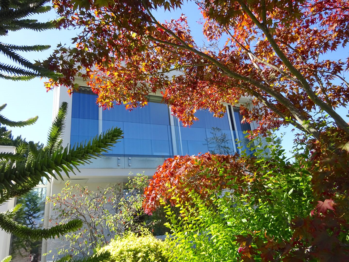 Maison à vendre, 260m², Mulhouse