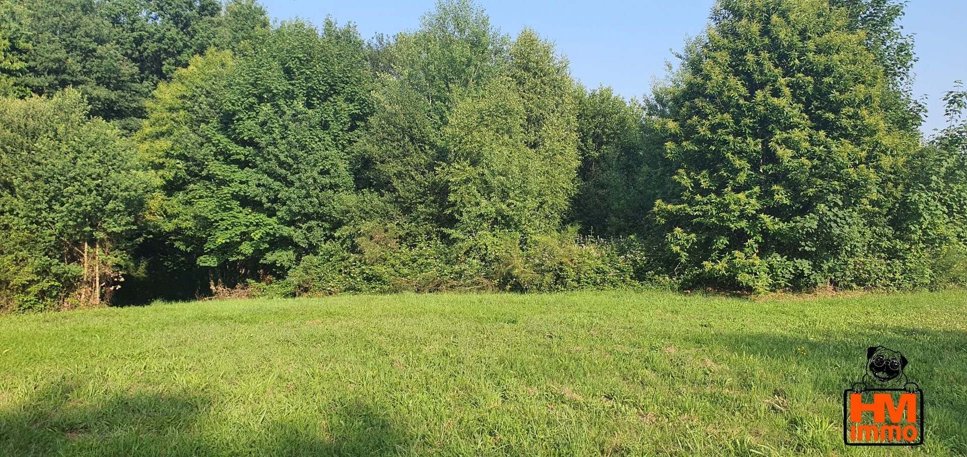 Maison à vendre, 857m², Ladignac-le-Long