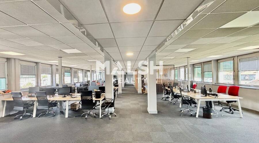 Maison à vendre, 435m², Lyon 7ème