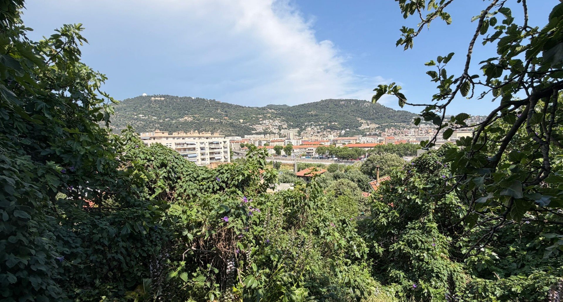 Maison à vendre, 500m², Nice