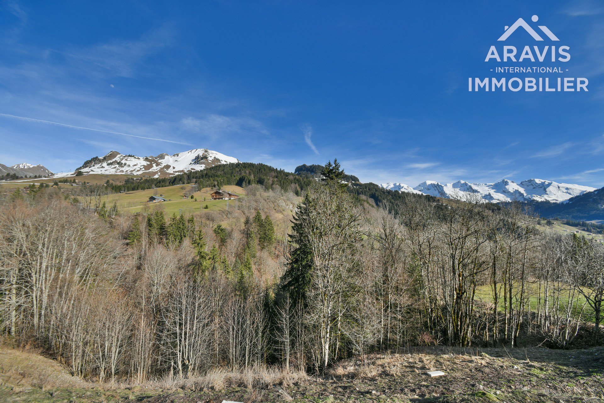 Maison à vendre, NaNm², Le Grand-Bornand