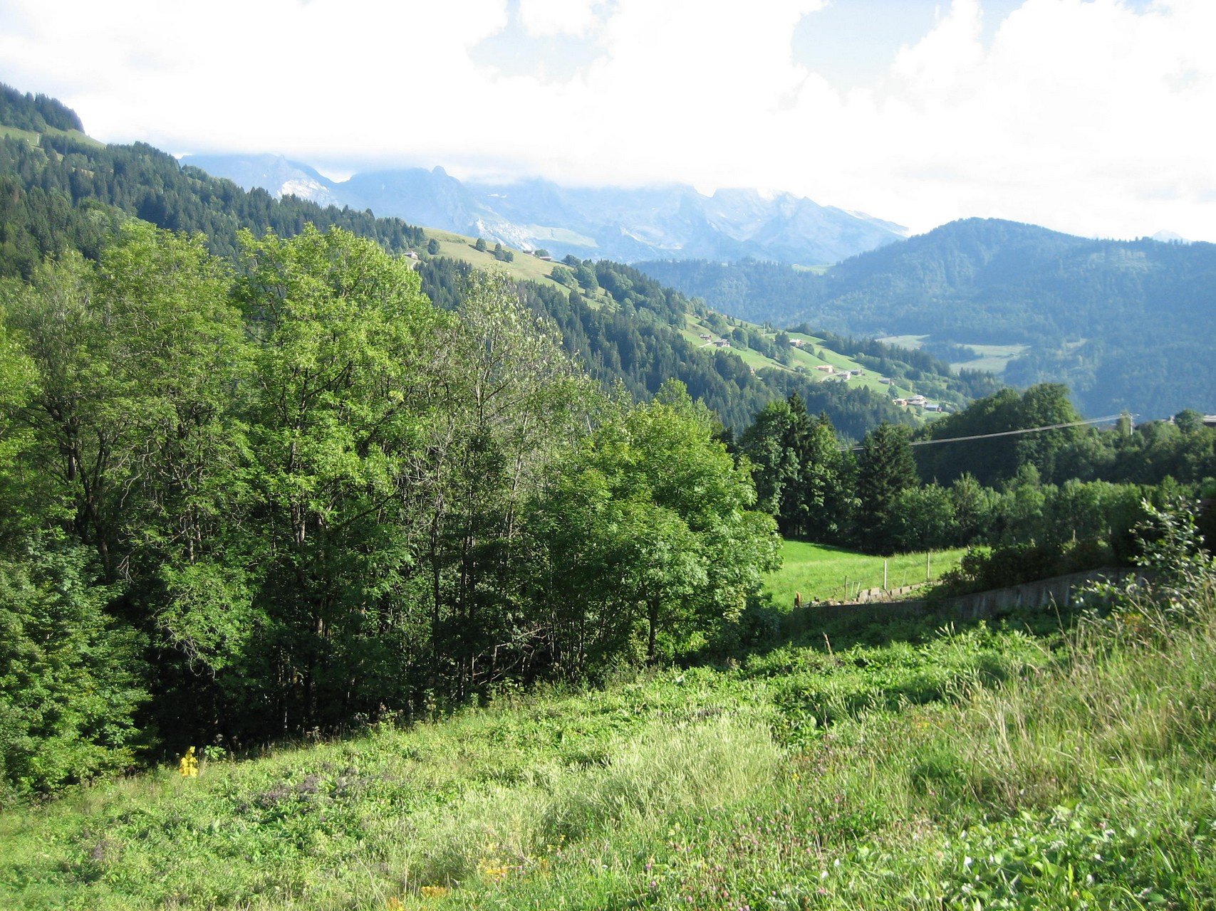 Maison à vendre, NaNm², Le Grand-Bornand