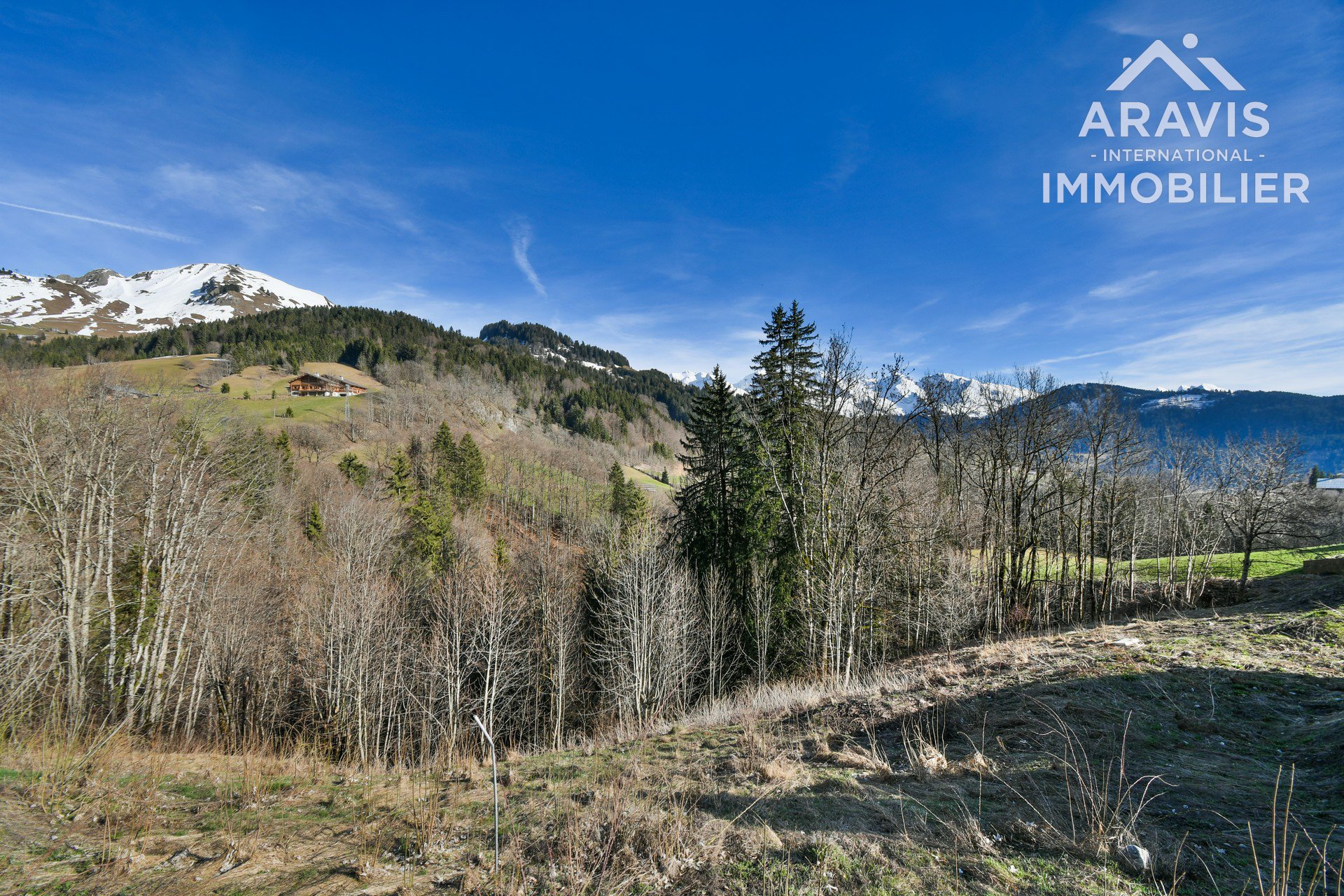 Maison à vendre, NaNm², Le Grand-Bornand