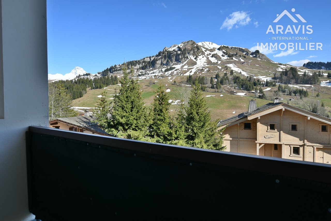 Appartement à vendre, 25m², Le Grand-Bornand