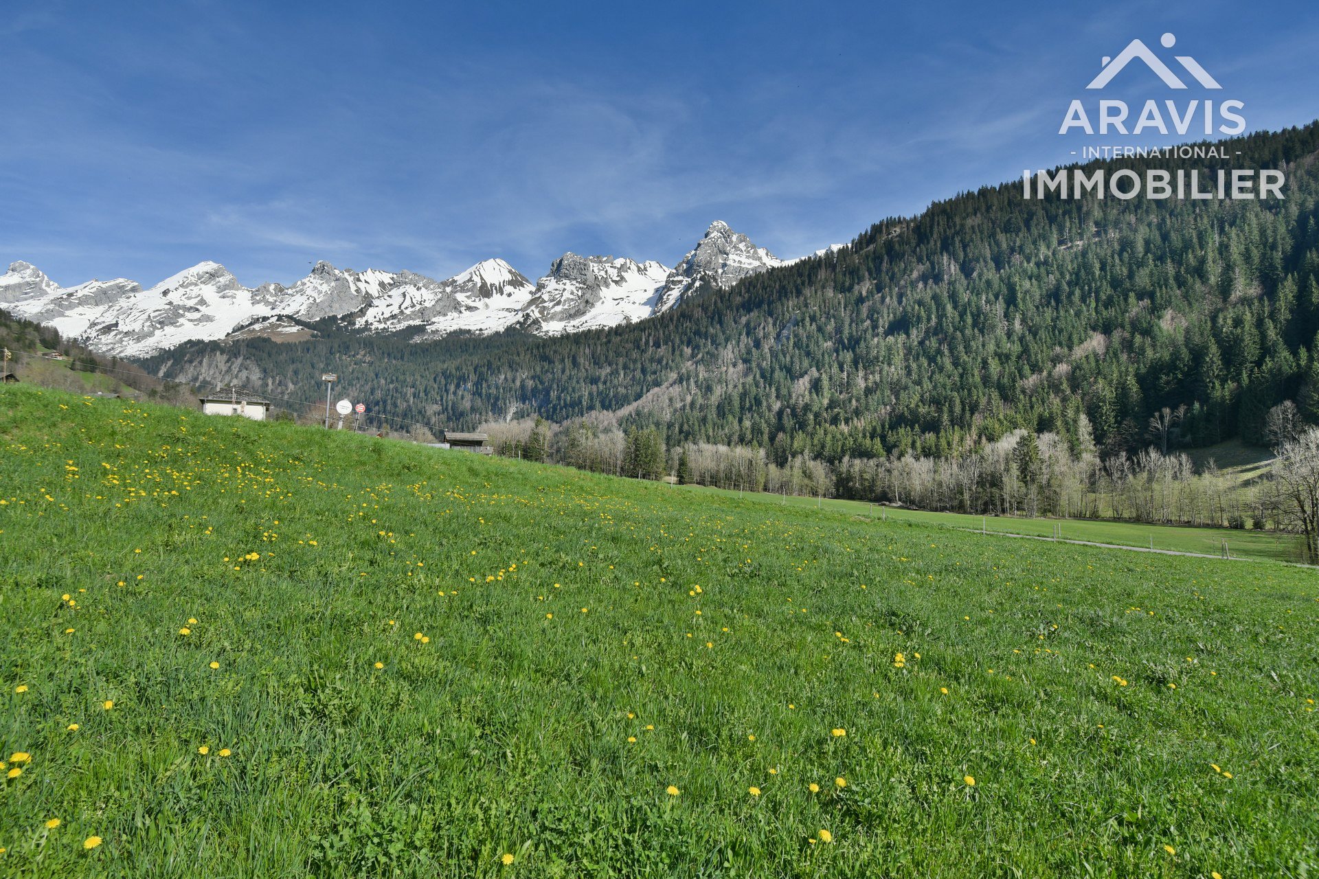 Maison à vendre, 1101m², Le Grand-Bornand