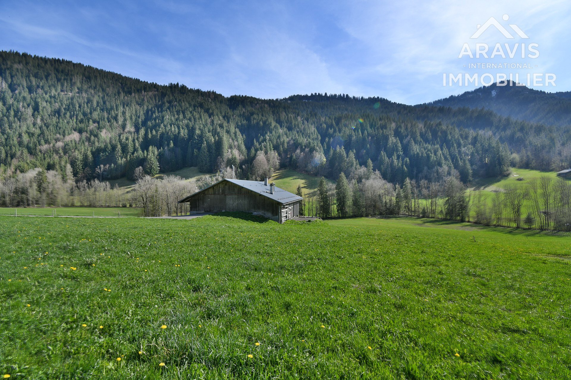 Maison à vendre, 1101m², Le Grand-Bornand