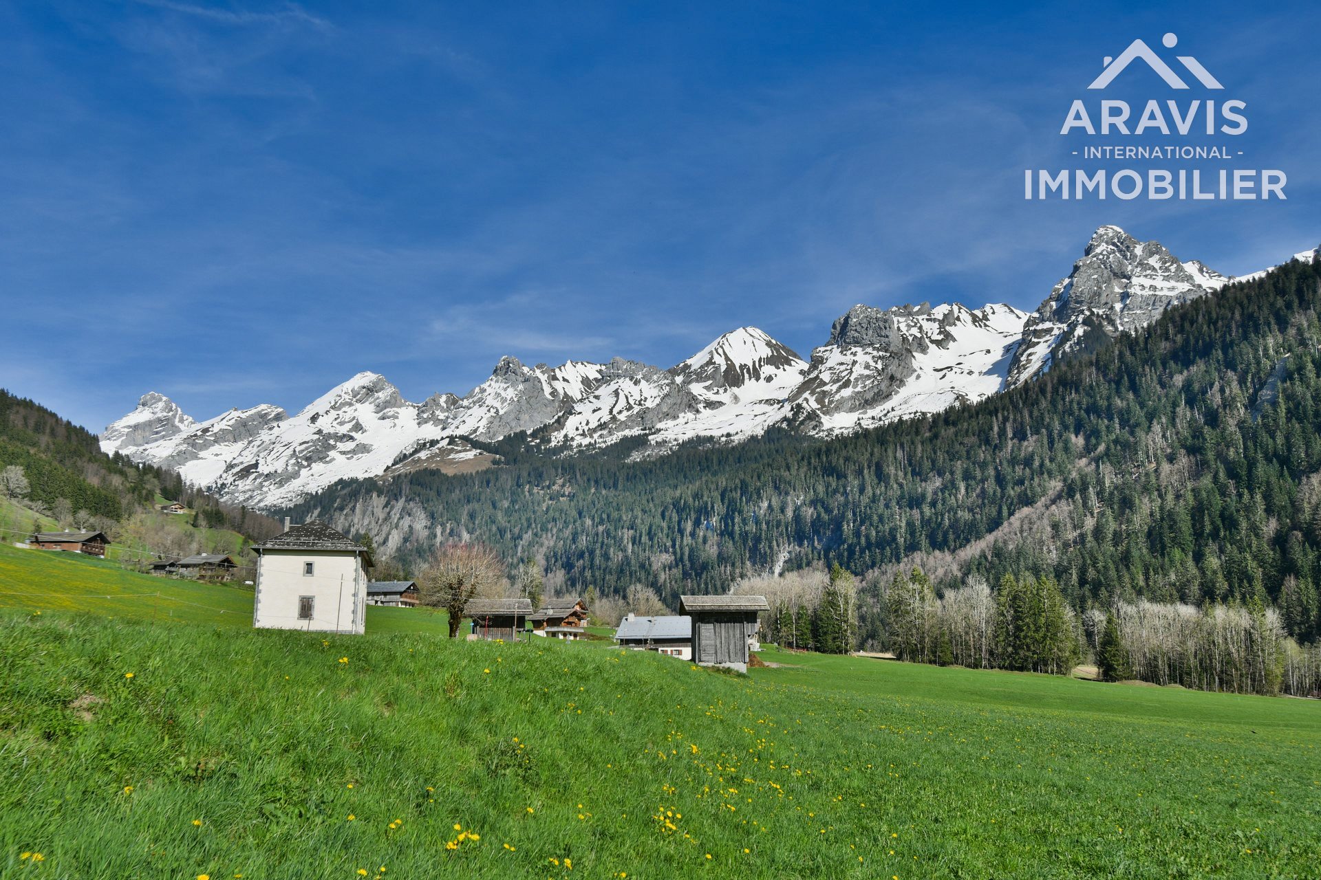 Maison à vendre, 1101m², Le Grand-Bornand