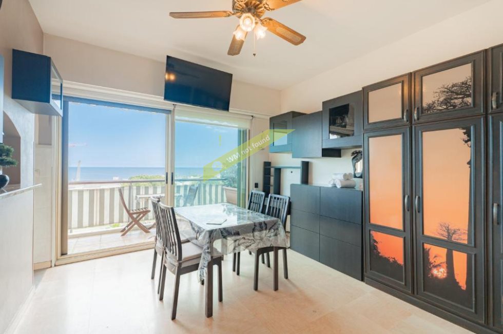 Appartement à louer, 37m², Nice