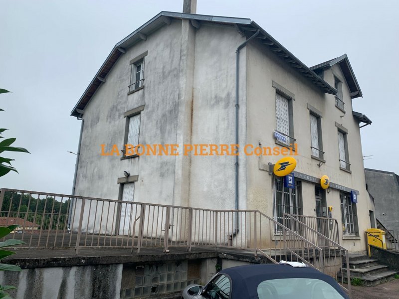 Maison à vendre, 359m², Saint-Laurent-sur-Gorre