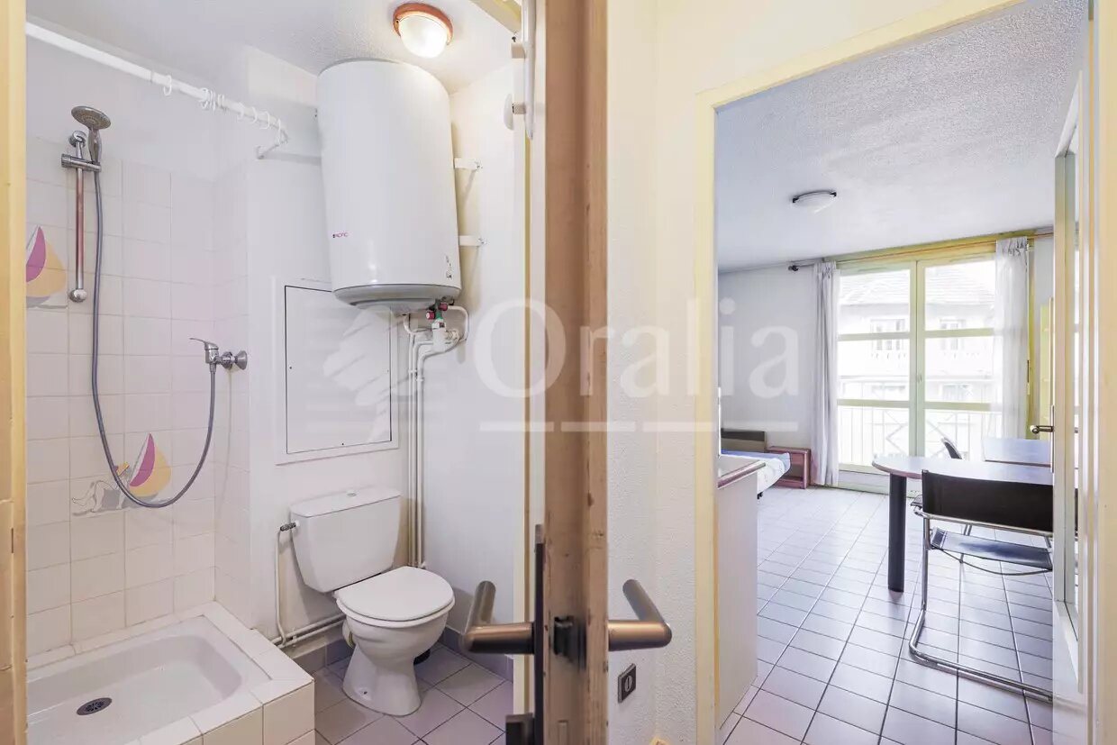 Appartement à vendre, 21m², Grenoble