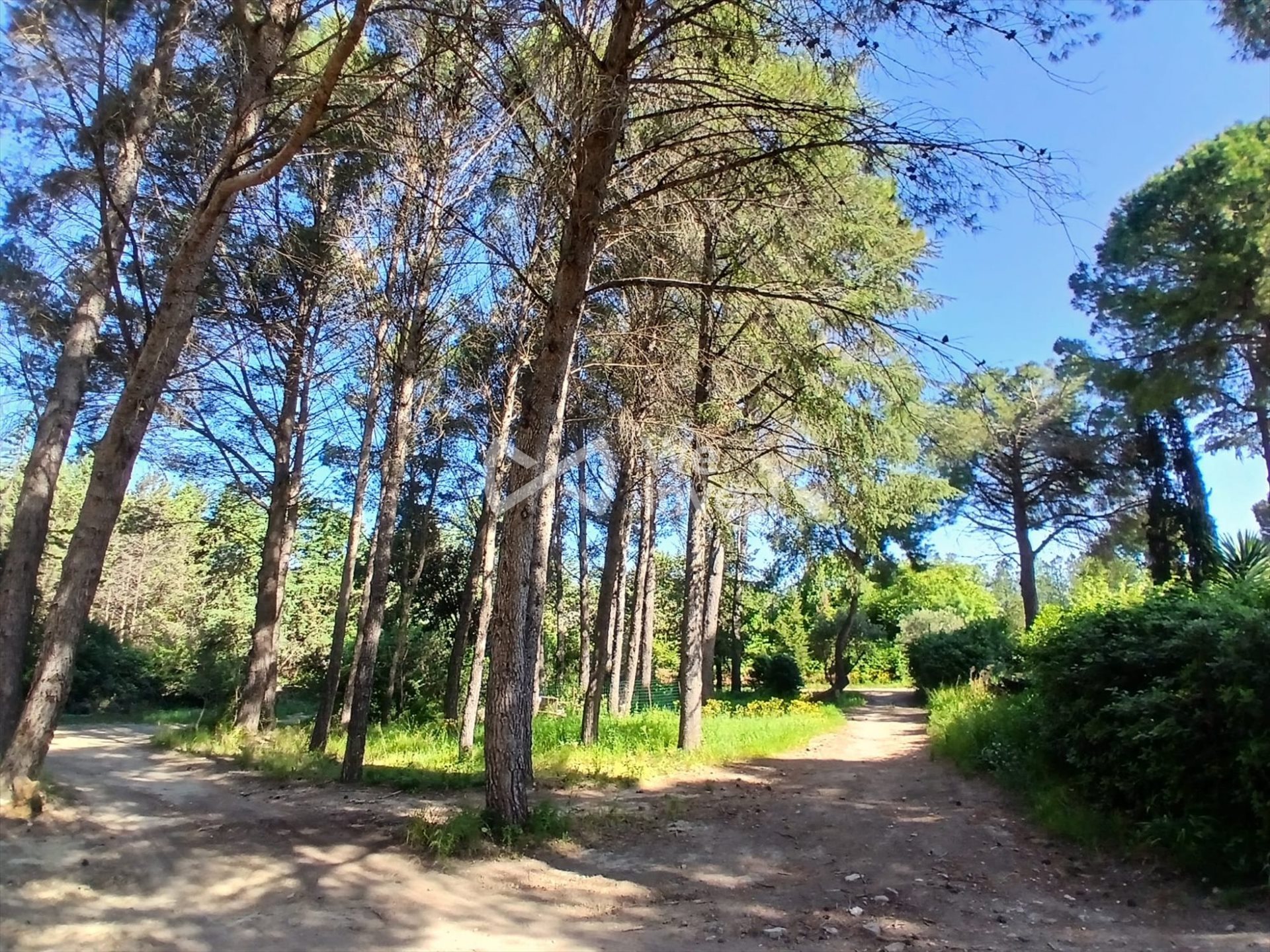 Maison à vendre, 206m², Clermont-l'Hérault