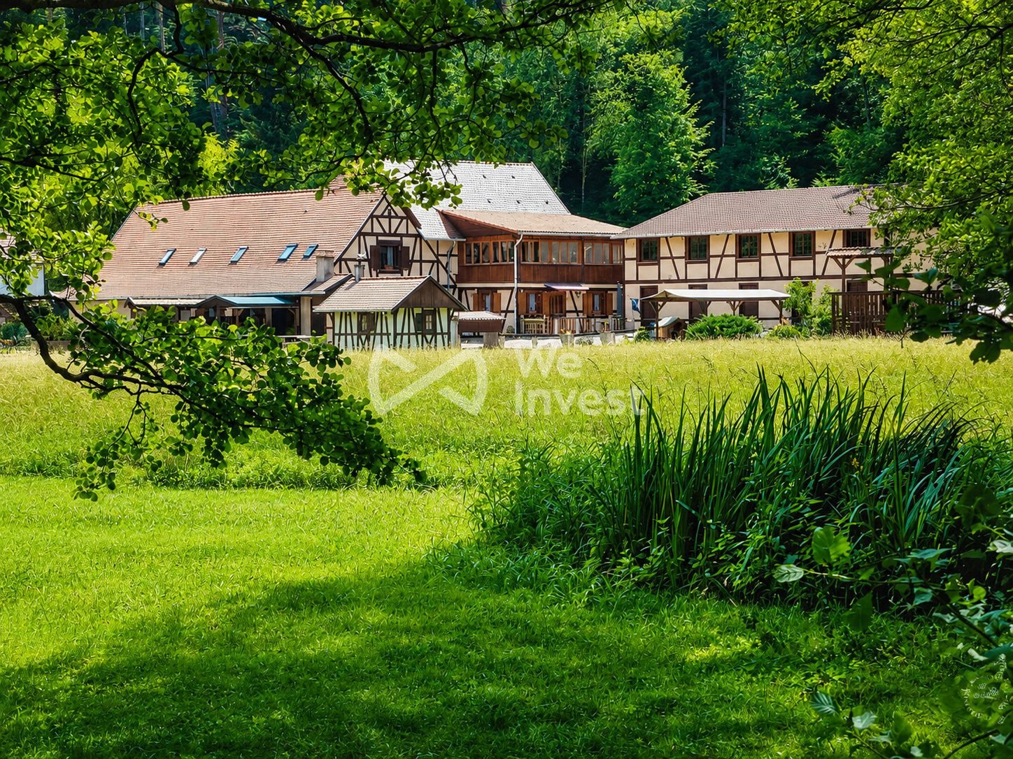 Maison à vendre, 423m², Wangenbourg-Engenthal