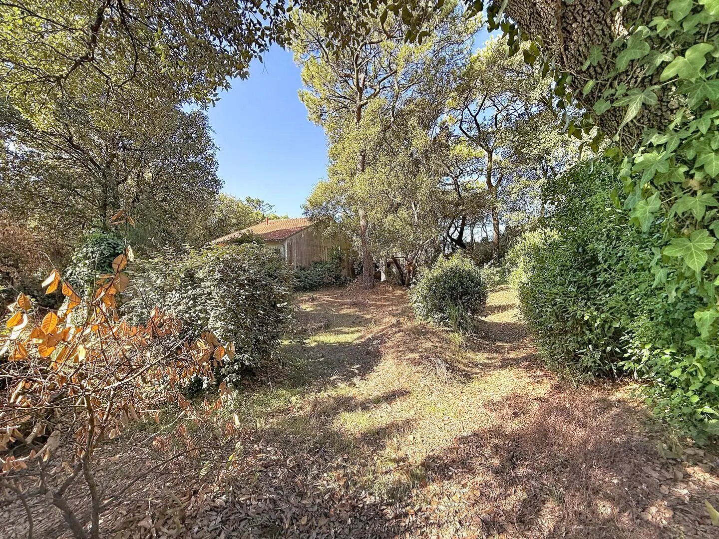 Maison à vendre, 116m², Saint-Michel-Chef-Chef