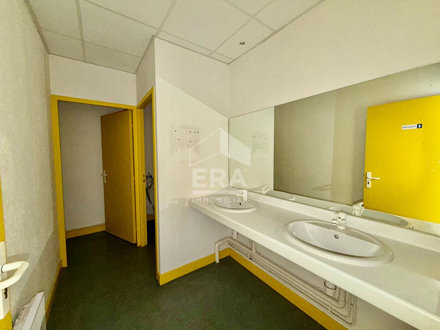Maison à vendre, 458m², Albi