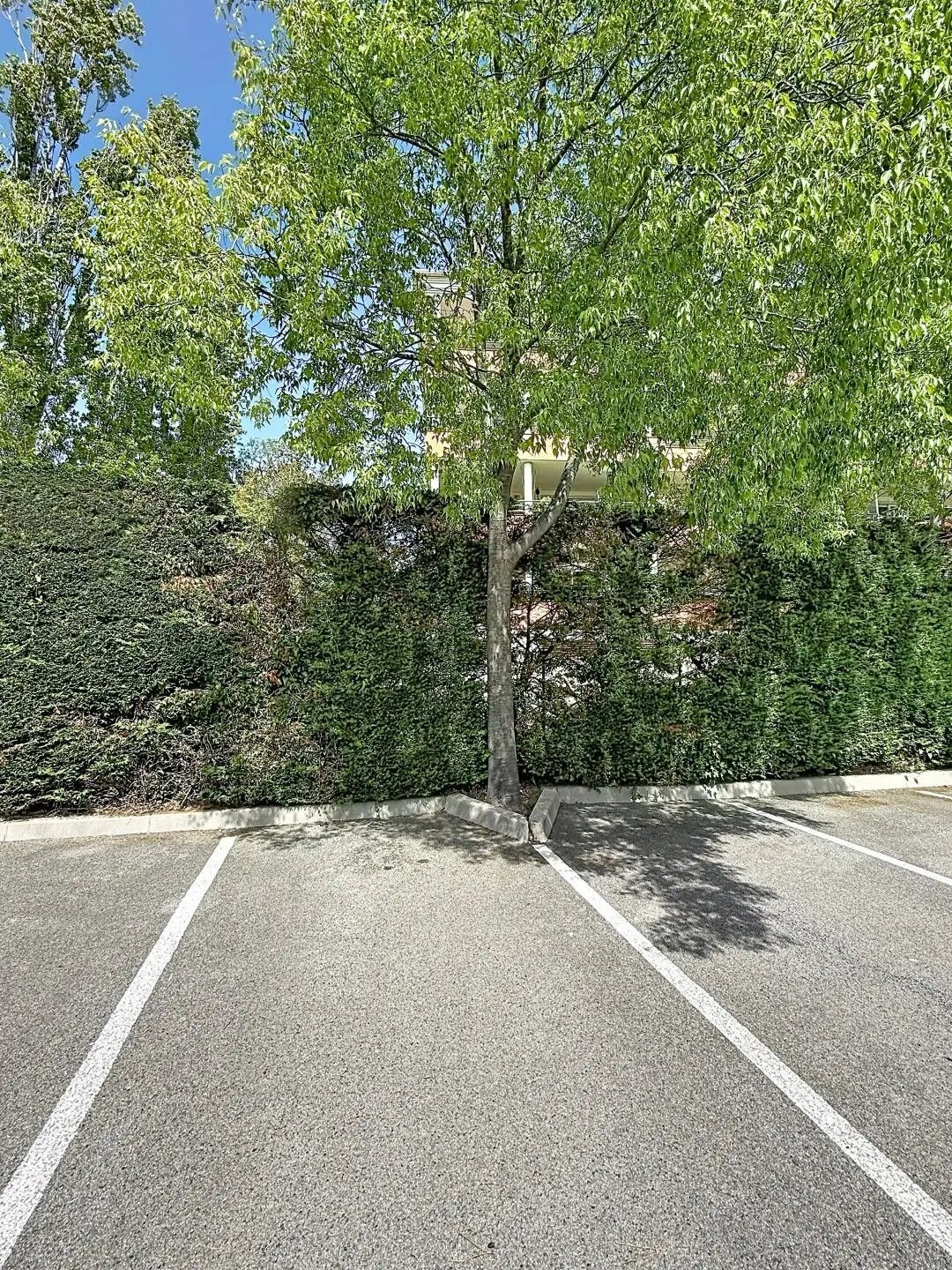Appartement à vendre, 25m², Saint-Raphaël