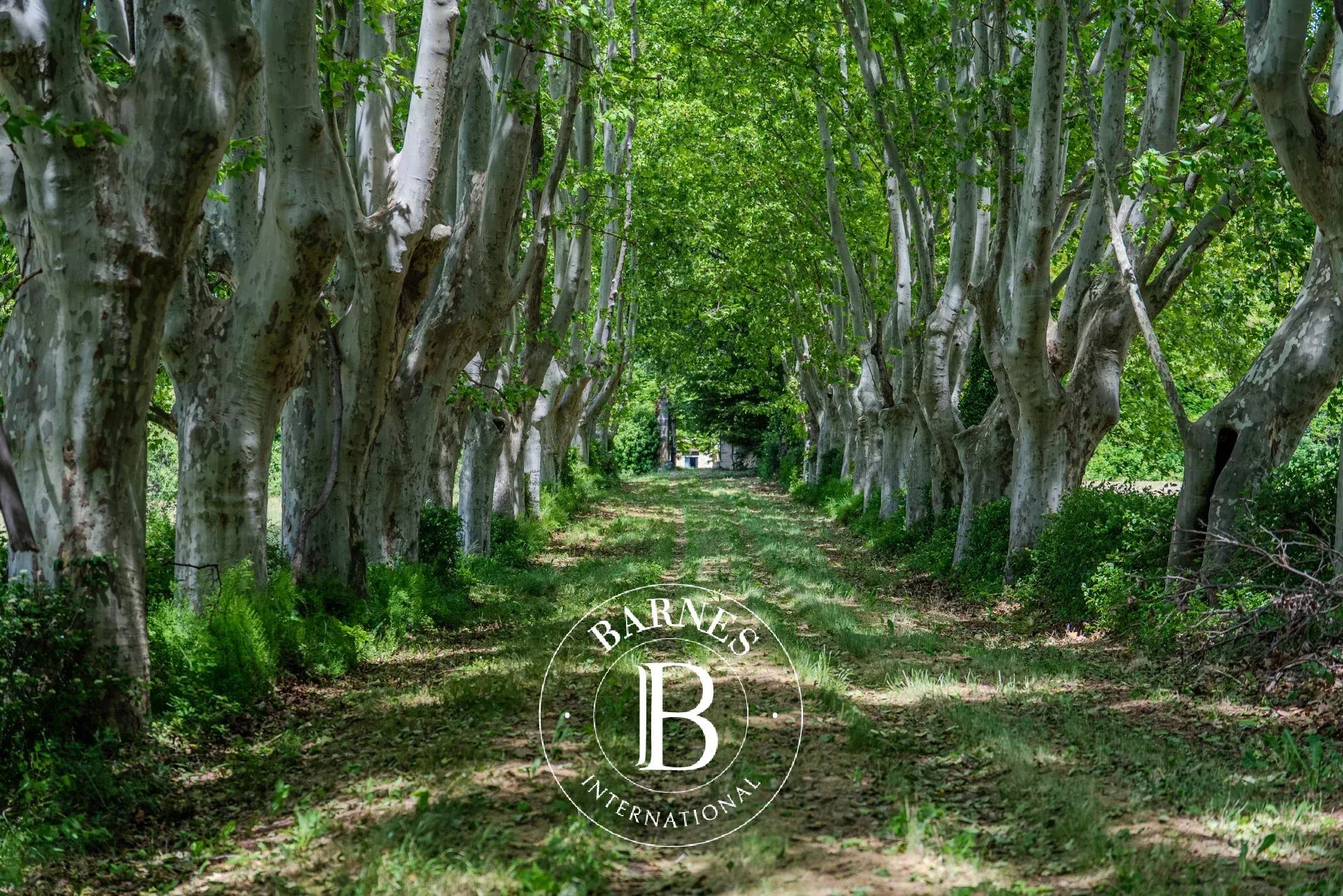 Maison à vendre, 800m², Lourmarin