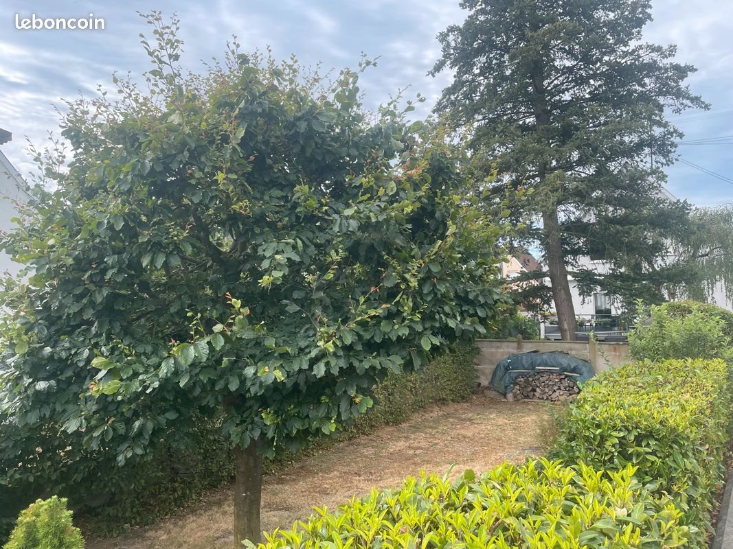Maison à vendre, 117m², Sélestat