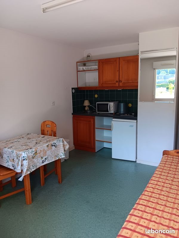 Appartement à vendre, 18m², Le Bourget-du-Lac