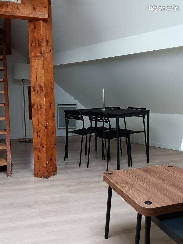 Appartement à louer, 19m², Chambéry