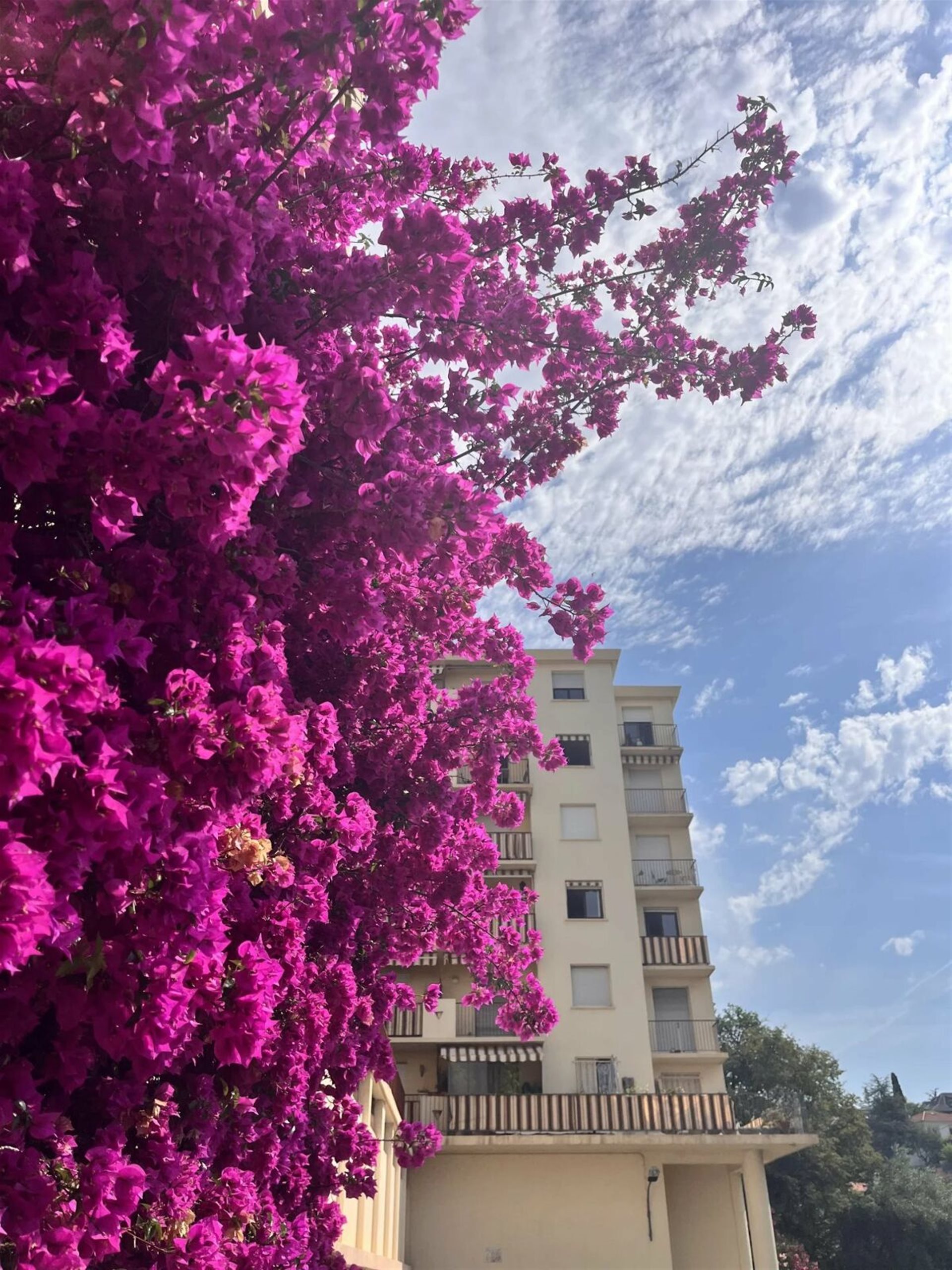 Appartement à vendre, 52m², Nice