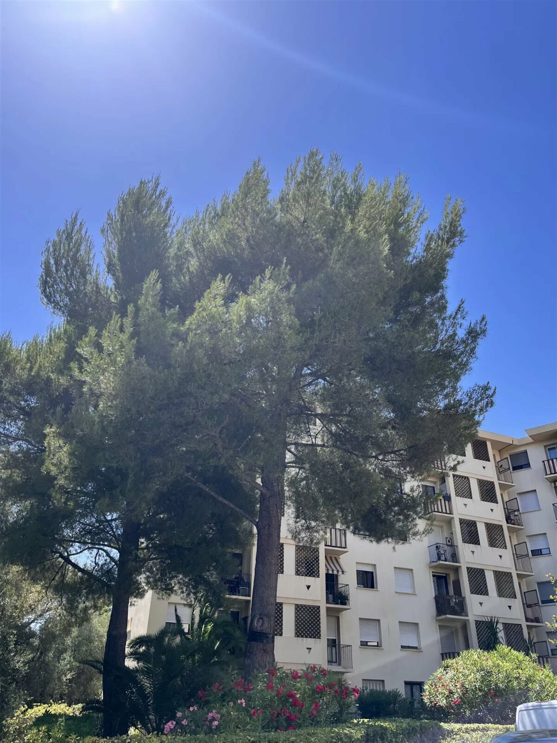 Appartement à vendre, 52m², Nice