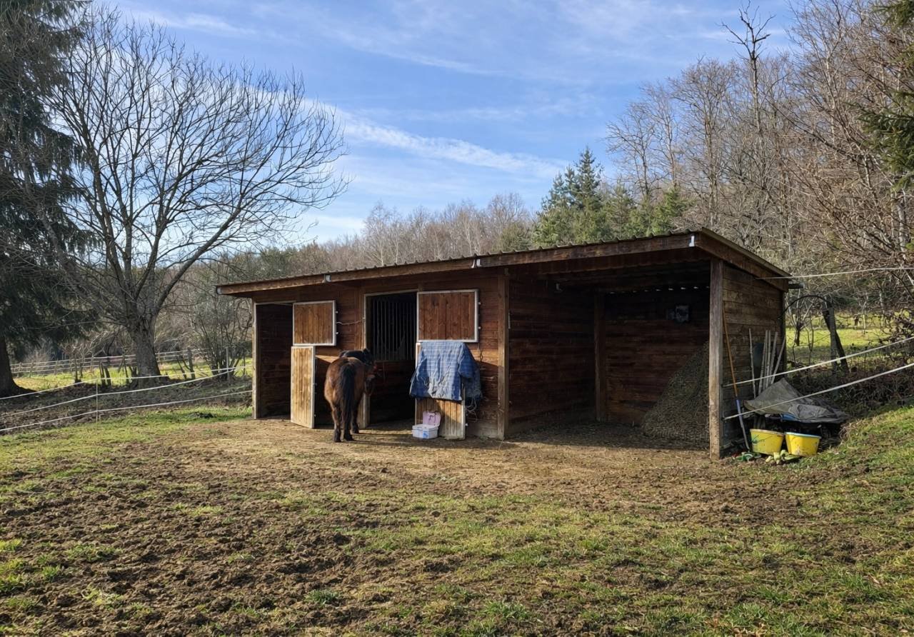 Maison à vendre, 94m², Saint-Merd-de-Lapleau