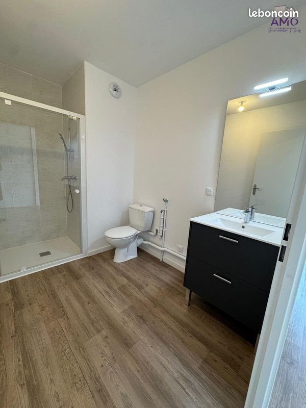 Appartement à louer, 33m², La Chapelle-Saint-Mesmin