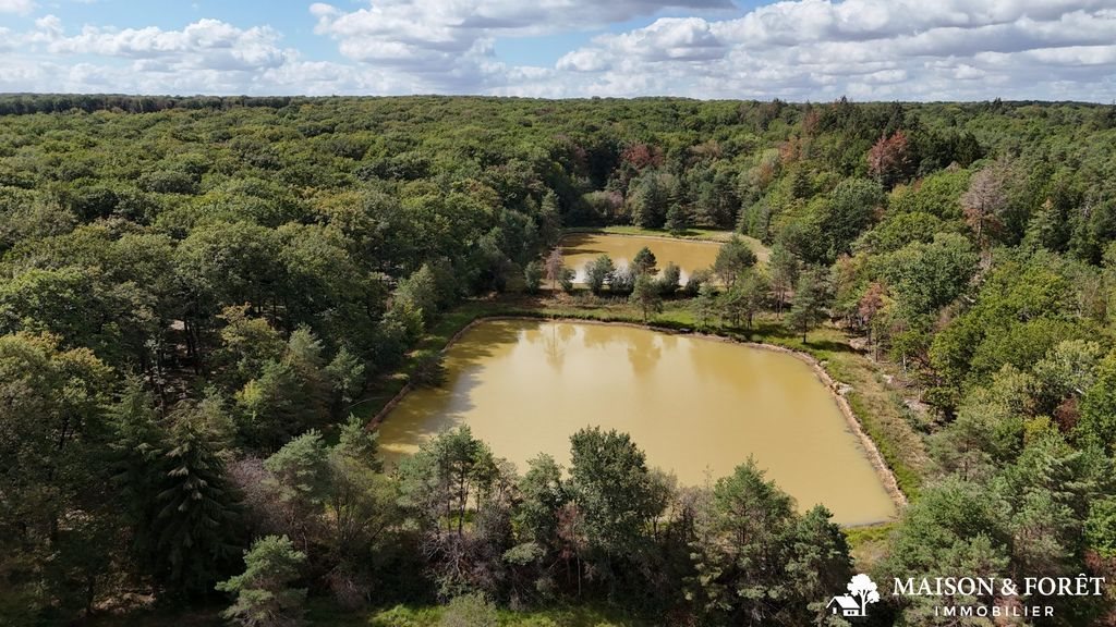 Maison à vendre, 180m², Aubigny-sur-Nère