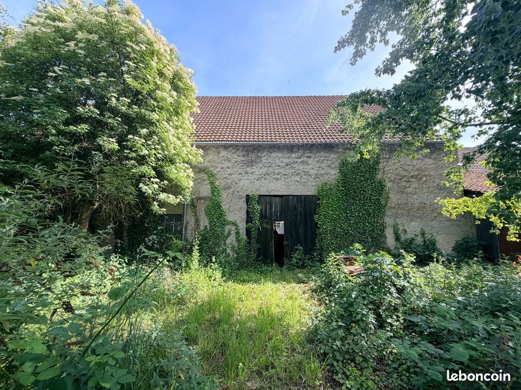 Maison à vendre, 400m², Biesheim