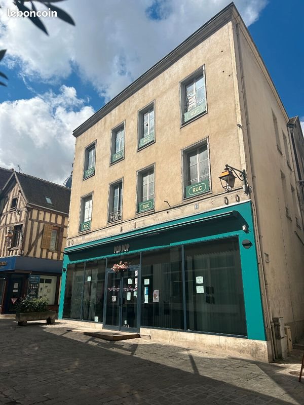 Appartement à vendre, 270m², Auxerre