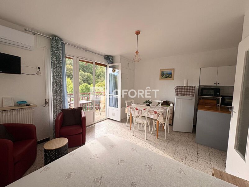 Appartement à vendre, 23m², Amélie-les-Bains-Palalda