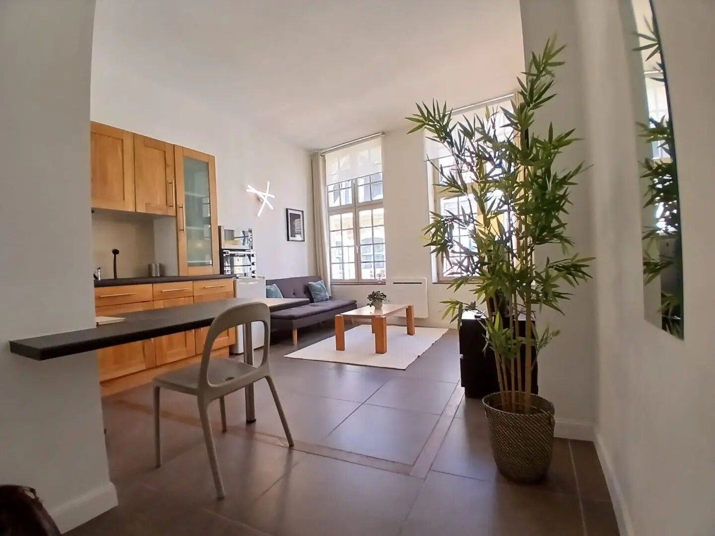 Appartement à vendre, 480m², Lille