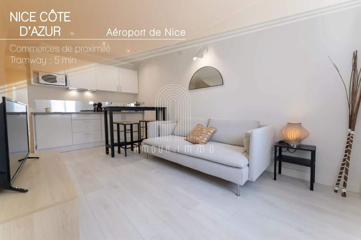 Appartement à vendre, 37m², Nice