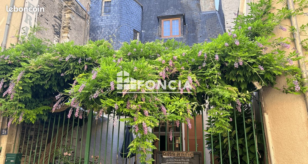 Appartement à vendre, 172m², Angers