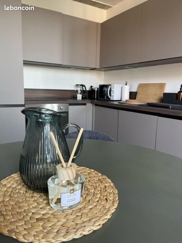Appartement à louer, 42m², Nice