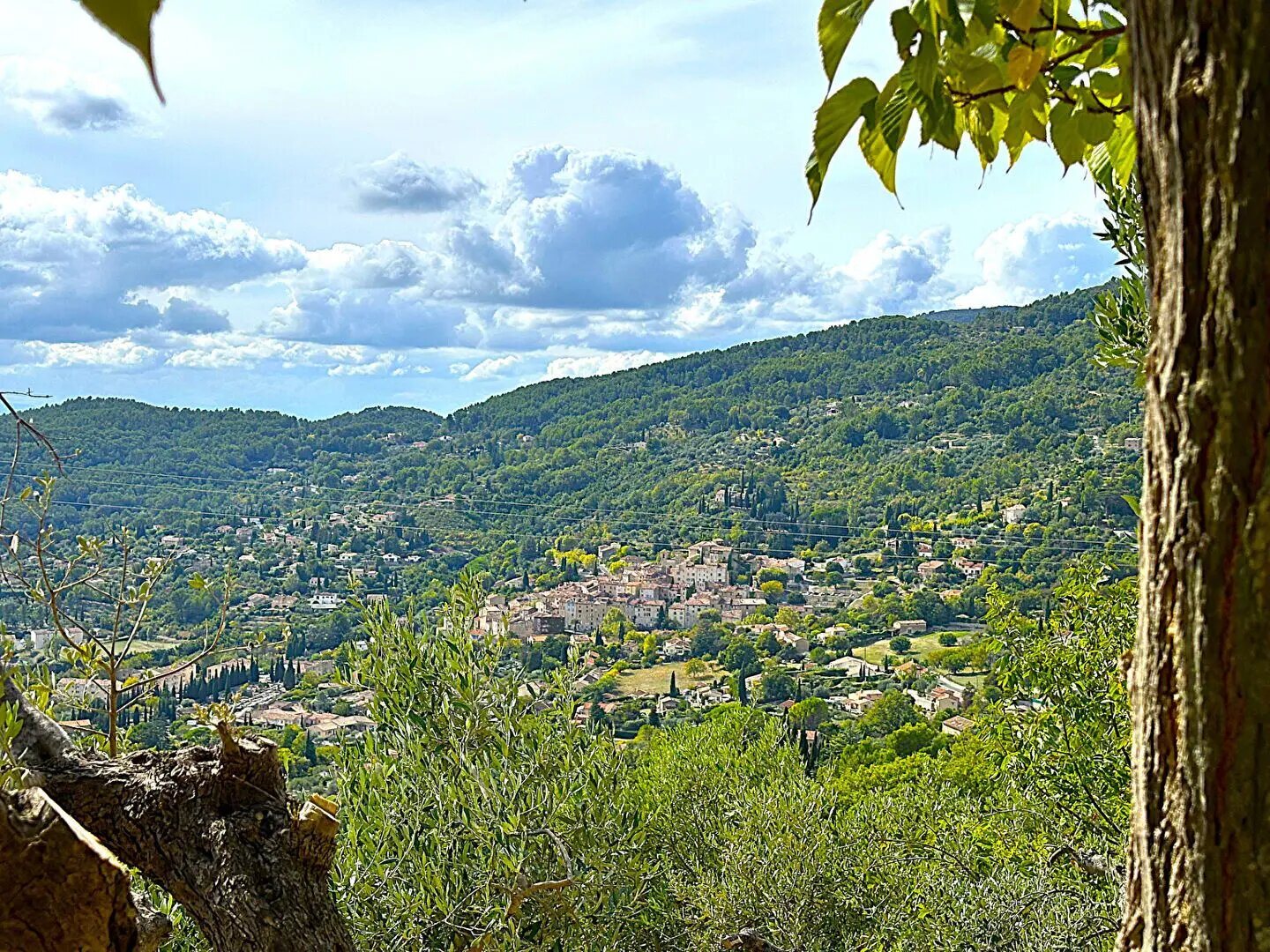 Maison à vendre, 180m², Seillans