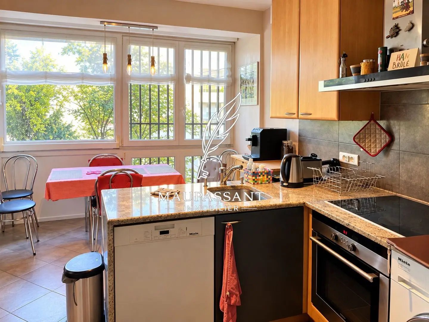 Appartement à vendre, 100m², Mulhouse