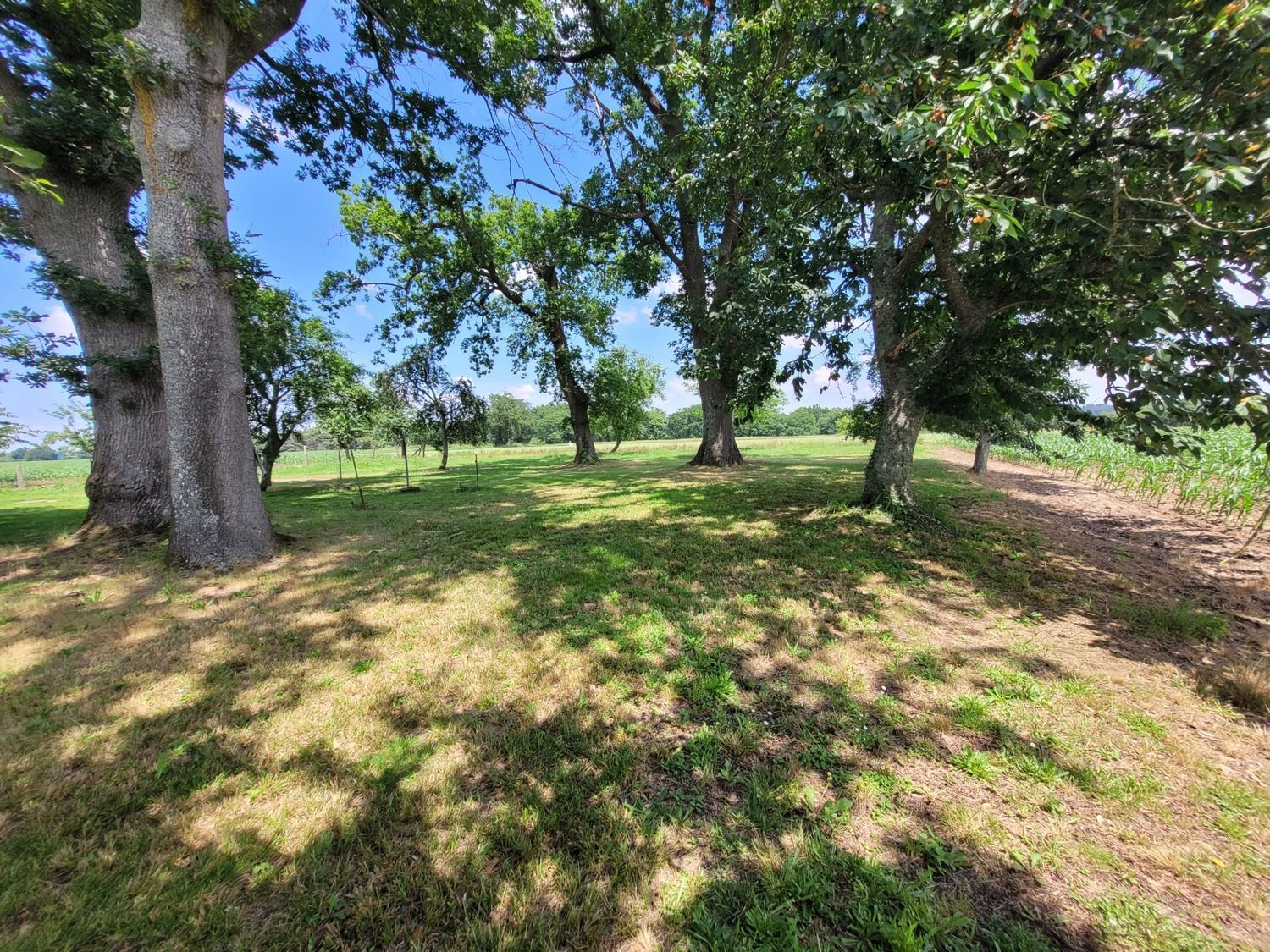 Maison à vendre, 173m², Arzacq-Arraziguet