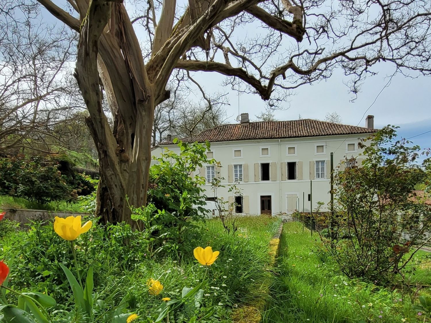 Maison à vendre, 281m², Samadet