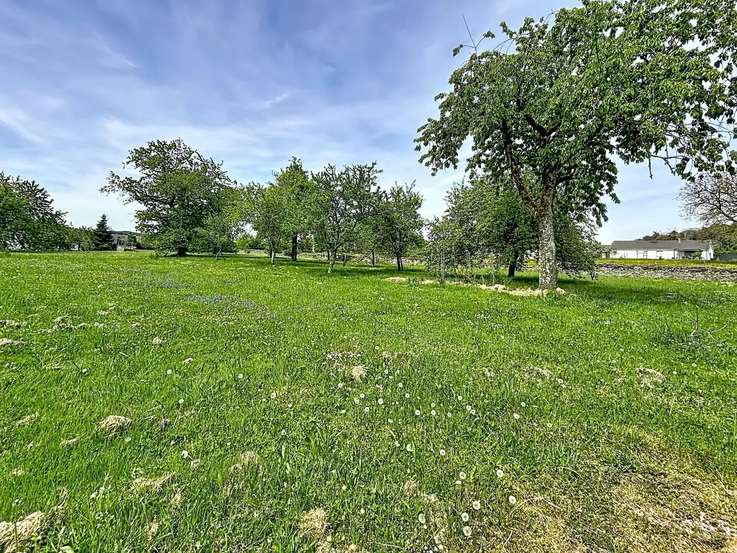 Maison à vendre, 100m², Oiselay-et-Grachaux